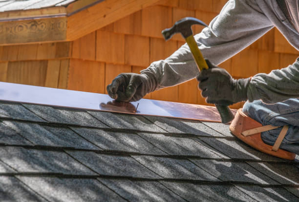 Best Roof Moss and Algae Removal  in Lovington, IL