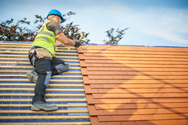 Best Roof Inspection  in Lovington, IL